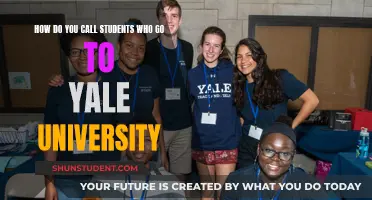 The Yale Experience: Students as Yalies