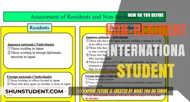 Understanding Non-Resident International Students: A Definition