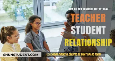 Fostering Trust, Respect, and Growth: The Ideal Teacher-Student Connection