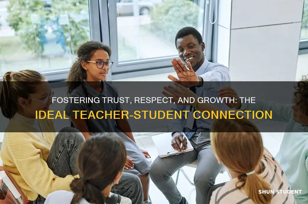 how do you describe the optimal teacher student relationship