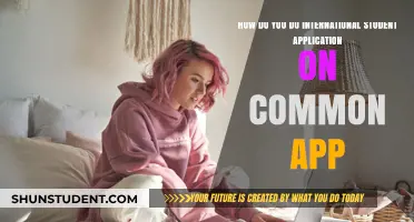 International Student? Your Common App Guide