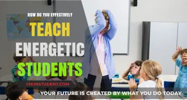 Engaging Energetic Learners: Strategies for Dynamic and Effective Teaching