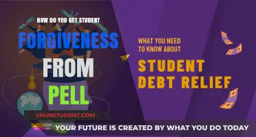 Unlocking Pell Grant Forgiveness: A Guide for Struggling Students