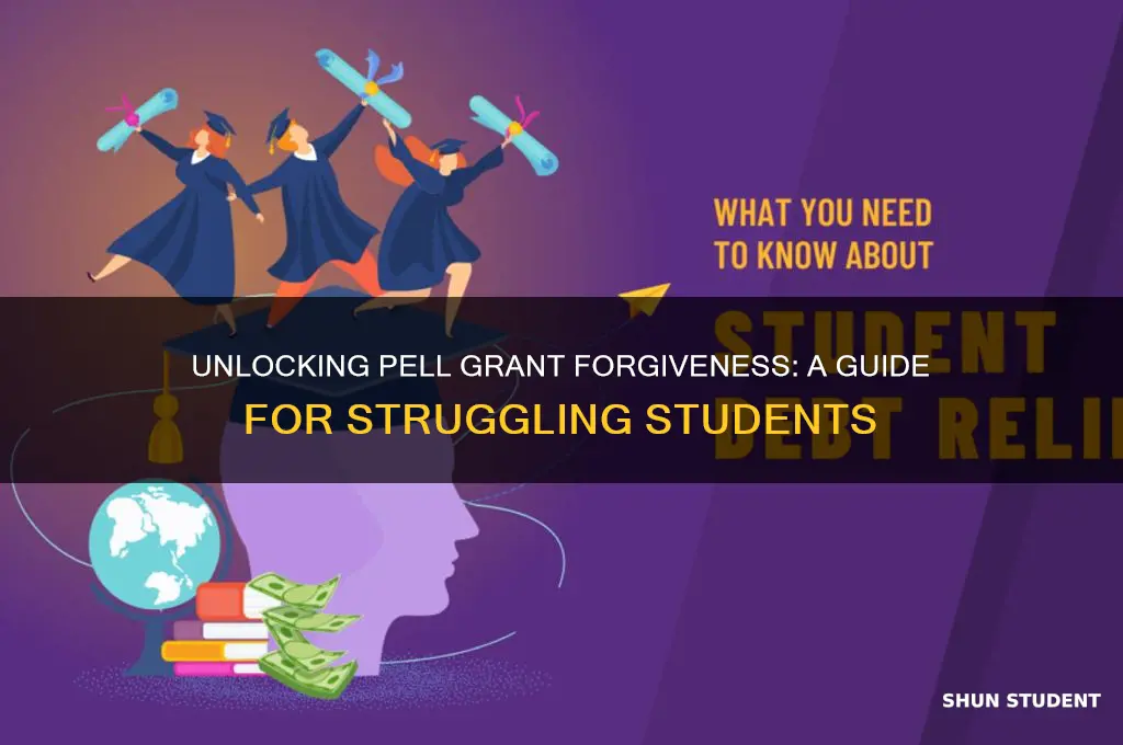 how do you get student forgiveness from pell