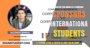 International Student Sponsorship: Which Companies Offer This?