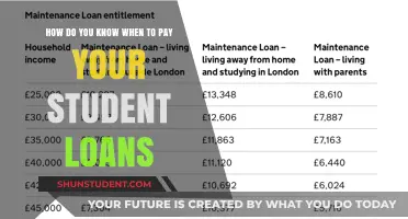 Student Loans: When to Pay and Why