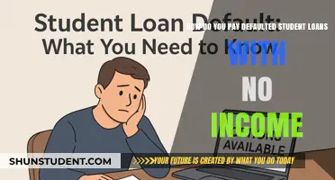 Strategies to Repay Defaulted Student Loans Without Income