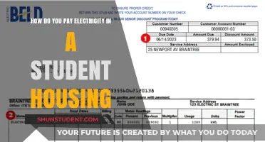 Student Housing: Who Pays for Electricity?