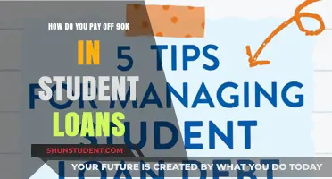Strategies to Pay Off $90K Student Loans