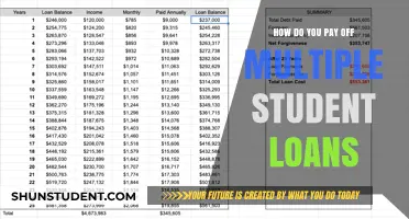 Strategizing to Pay Off Multiple Student Loans