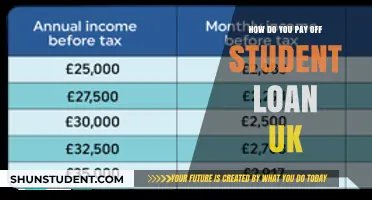 Student Loan Strategies: Paying Off Debt in the UK
