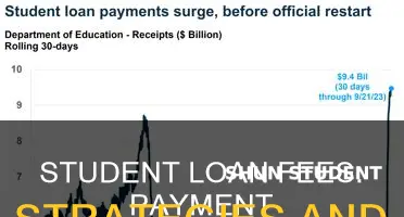 how do you pay the loan fee student loans