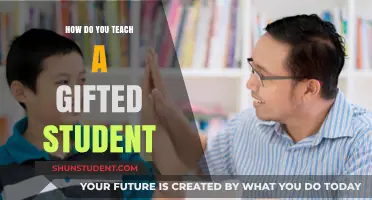 Nurturing Brilliance: Effective Strategies for Teaching Gifted Students