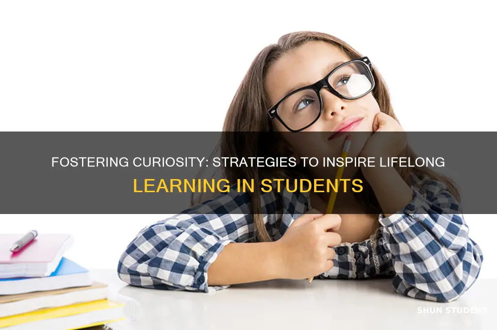 how do you teach a student to be more curious