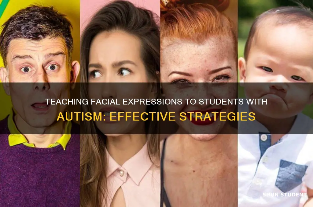 how do you teach a student with autism facial expressions