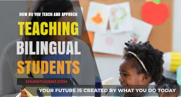 Effective Strategies for Teaching Bilingual Students: A Comprehensive Approach