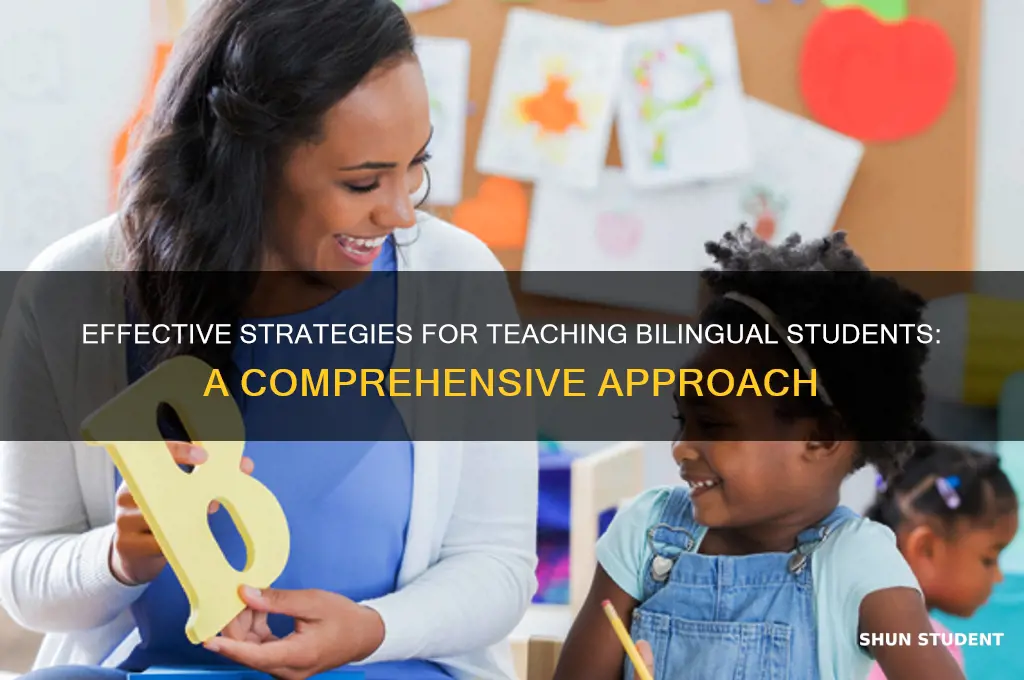 how do you teach and approch teaching bilingual students