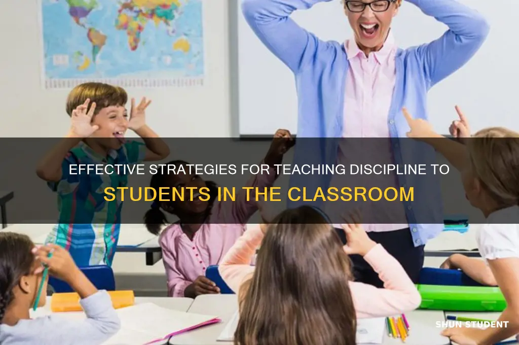 how do you teach discipline to students