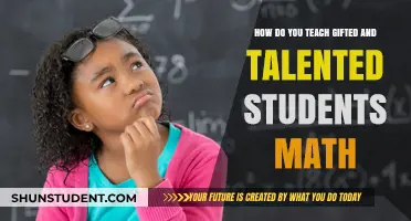 Unlocking Math Potential: Strategies for Teaching Gifted and Talented Students