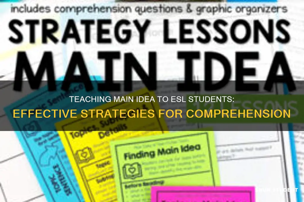 how do you teach main idea to esl students