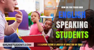 Effective Strategies for Teaching Non-English Speaking Students Successfully