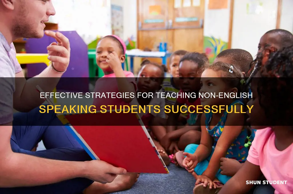 how do you teach non english speaking students