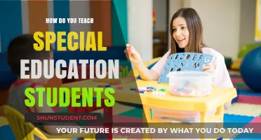 Empowering Special Education Students: Effective Teaching Strategies for Success