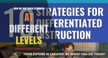 Tailoring Lessons: Strategies for Teaching Students at Different Levels