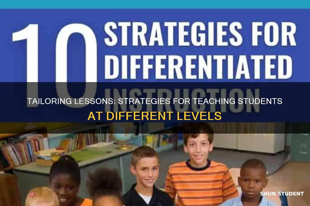 how do you teach students at different levels