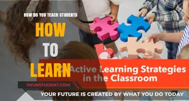Empowering Learners: Strategies to Teach Students Effective Learning Techniques
