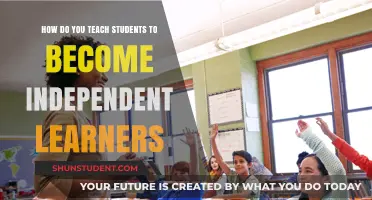 Fostering Independence: Strategies to Empower Students as Self-Directed Learners