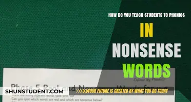 Teaching Phonics Through Nonsense Words: Creative Strategies for Student Success