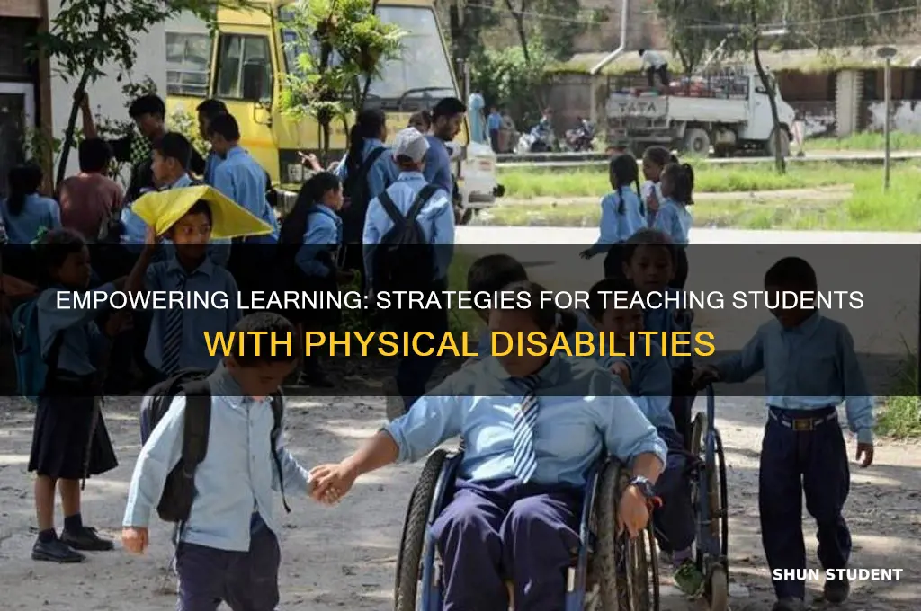 how do you teach students with physical disabilities