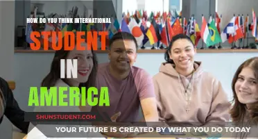 International Students in America: Their Mindsets and Experiences