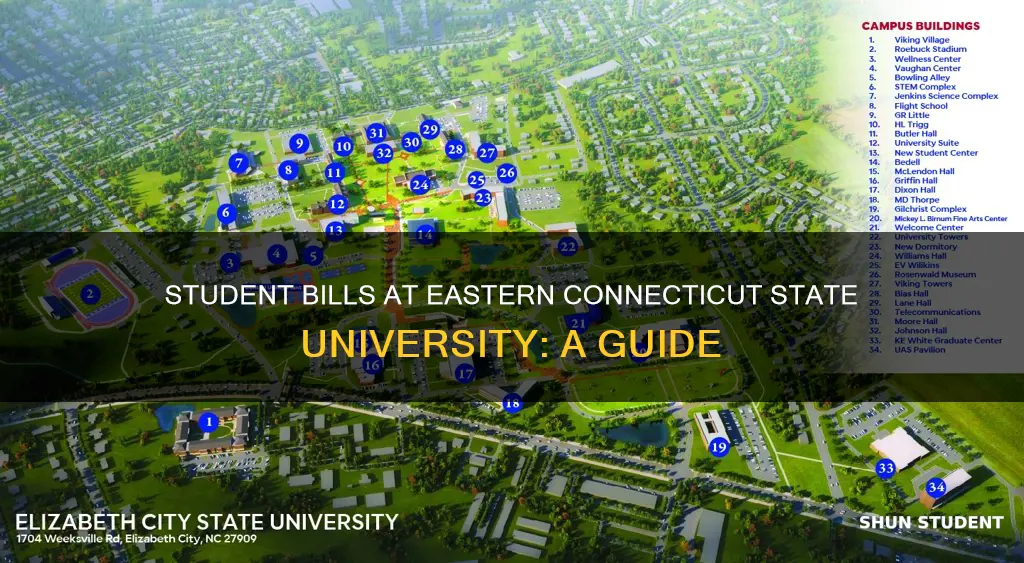 how do you view student bills eastern connecticut state university