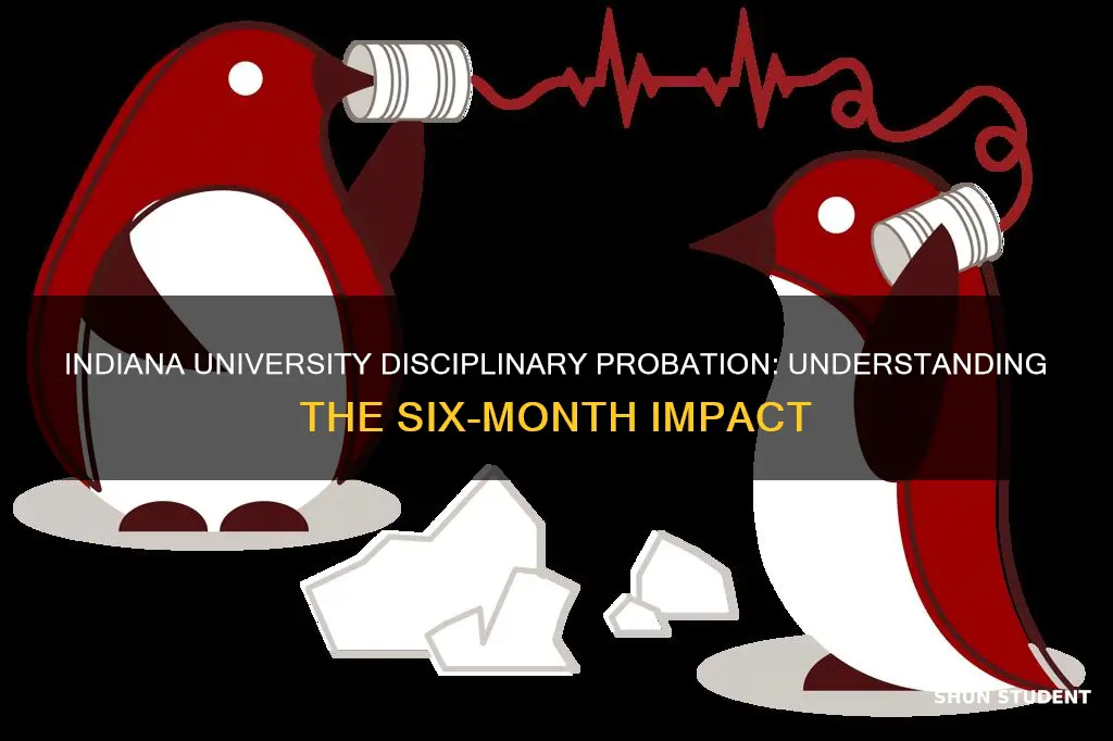 how does 6 month disciplinary probation affect indiana university students