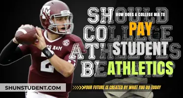 Funding Student Athletics: A College's Dilemma