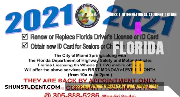 Obtaining a Florida ID: A Guide for International Students