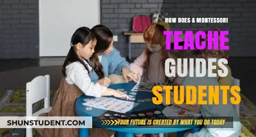 Montessori Teaching: Empowering Student-Led Learning Through Guidance and Exploration