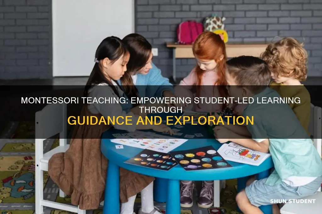 how does a montessori teache guides students