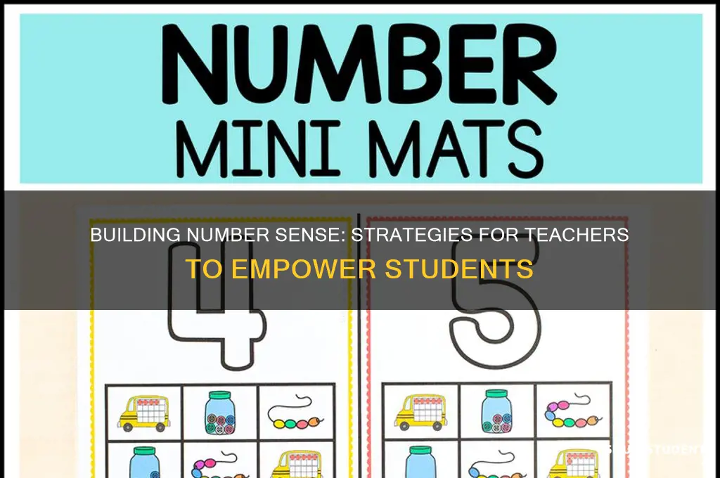how does a teacher build number sense in students