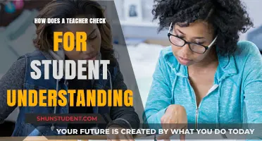 Effective Strategies for Teachers to Assess Student Understanding in Class