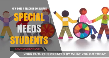 Empowering Special Needs Students: Strategies for Teachers to Foster Inclusion