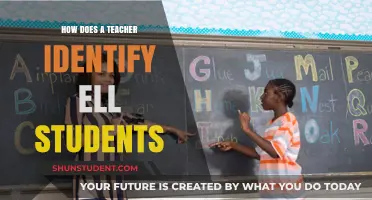 Identifying ELL Students: Strategies for Teachers to Recognize Language Needs