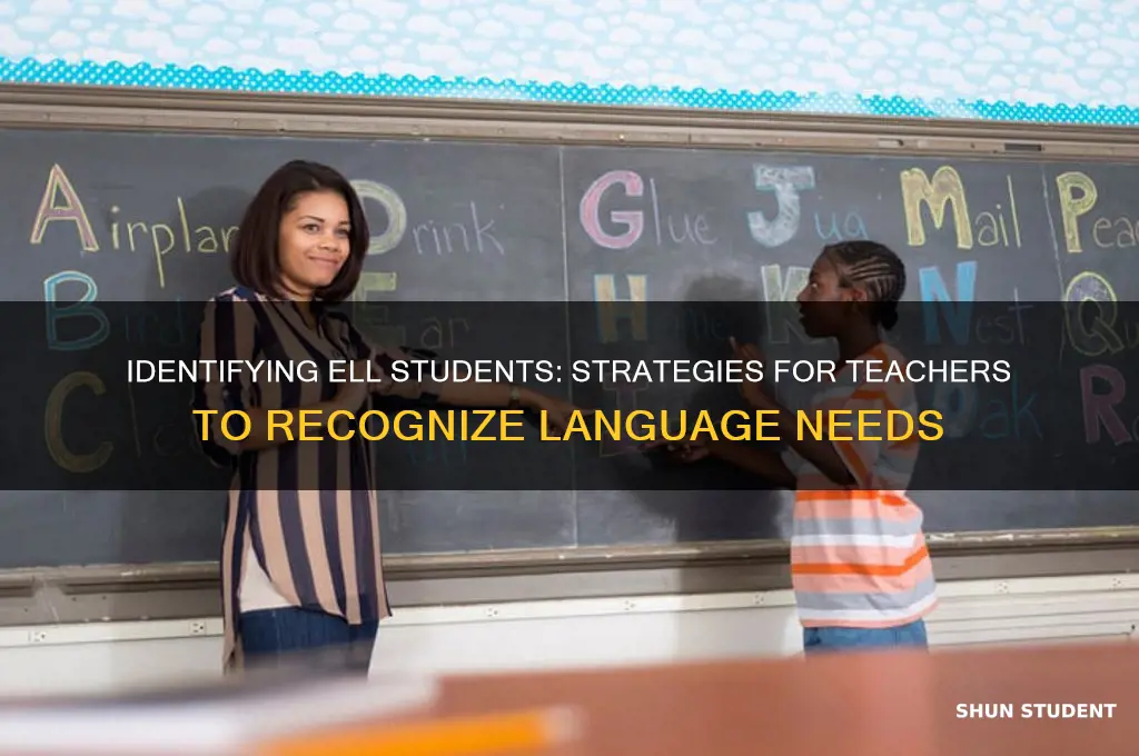 how does a teacher identify ell students