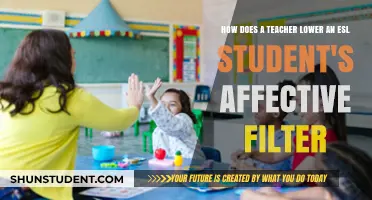 Lowering ESL Students' Affective Filters: Strategies for Teachers to Build Confidence
