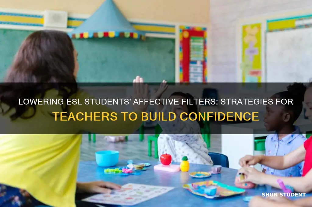 how does a teacher lower an esl student