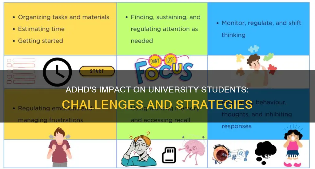 how does adhd affect university students