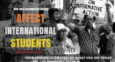 Affirmative Action: Impact on International Students