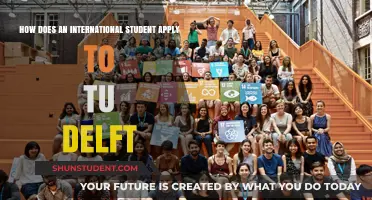 Applying to TU Delft: A Guide for International Students